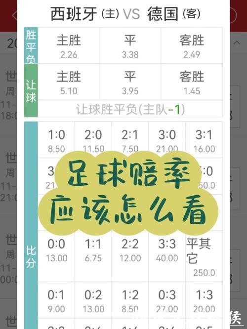 世界杯下注APP：实时赔率与收益计算技巧